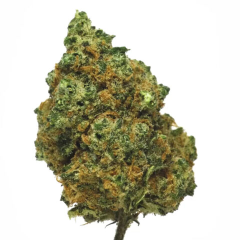 cbd-stronger-funky-cbd-mantes-funky-herbe